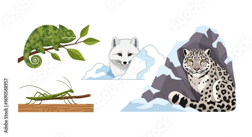 Animal Camouflage Collection with Chameleon and Snow Leopard.