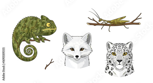 Diverse Animal Kingdom - Chameleon, Stick Insect, Fox, and Leopard.
