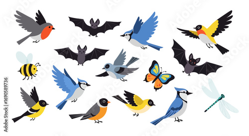 Diverse Wildlife Illustration - Birds, Bats, Bee, Butterfly, Dragonfly.