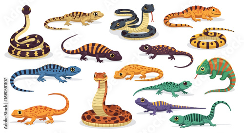 Colorful Variety of Reptiles and Lizards.