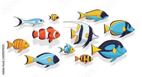 Variety of Colorful Tropical Fish.