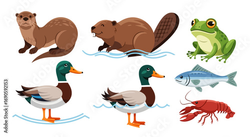 Collection of Aquatic Animals and Birds.