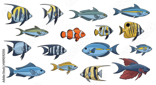 Colorful Variety of Tropical Fish.