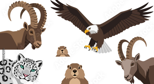 Mountain Wildlife Illustration - Ibex, Eagle, Marmot, and Snow Leopard.