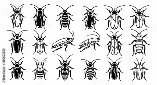 Cockroach Insect Pest Bug Beetle Set.
