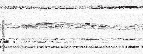 Black and white horizontal lines with static noise representing digital distortion and abstract artistic effect