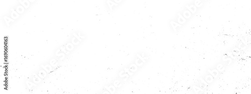 Scattered black dust specks and particles creating delicate textured overlay on clean black and white surface