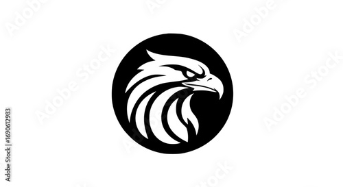 Eagle head with sharp curved beak black white 