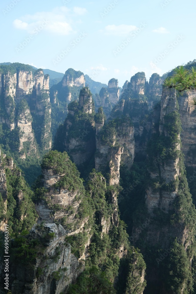 Naklejka premium view from the avatar mountains