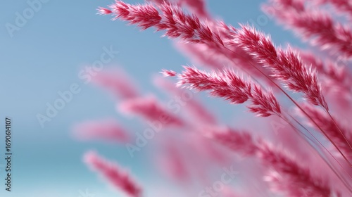 Delicate pink grass sways gently in the breeze. This nature scene captures the beauty of pastel colors against a soft blue sky. Ideal for relaxing backgrounds and floral designs. AI