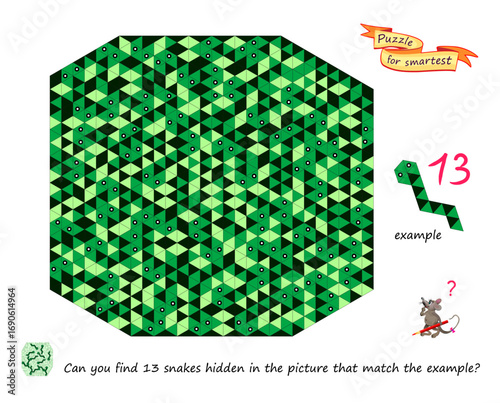 Snake puzzle. Can you find 13 snakes hidden in the picture that match the example? Game Seek and Find. Logic game with geometric illusions. Develop spatial thinking. Brain teaser book. Vector image.
