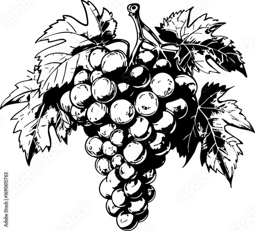 Grapes harvesting event vineyard rural setting artistic perspective nature's bounty unveiled