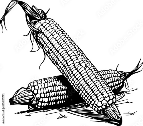 Harvesting corn celebrating agriculture in the american midwest black and white artistic viewpoint crop culture