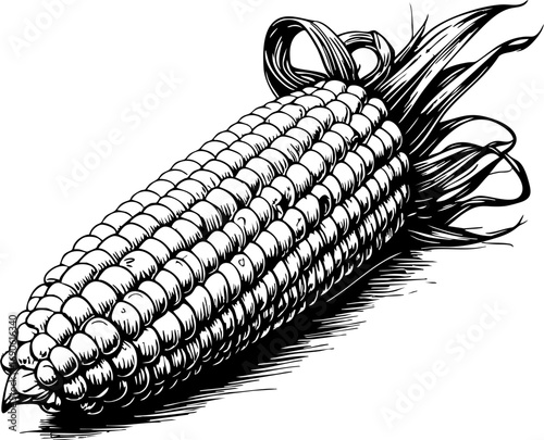 Harvesting golden corn agricultural practices fields rural setting close-up view farming techniques for seo impact