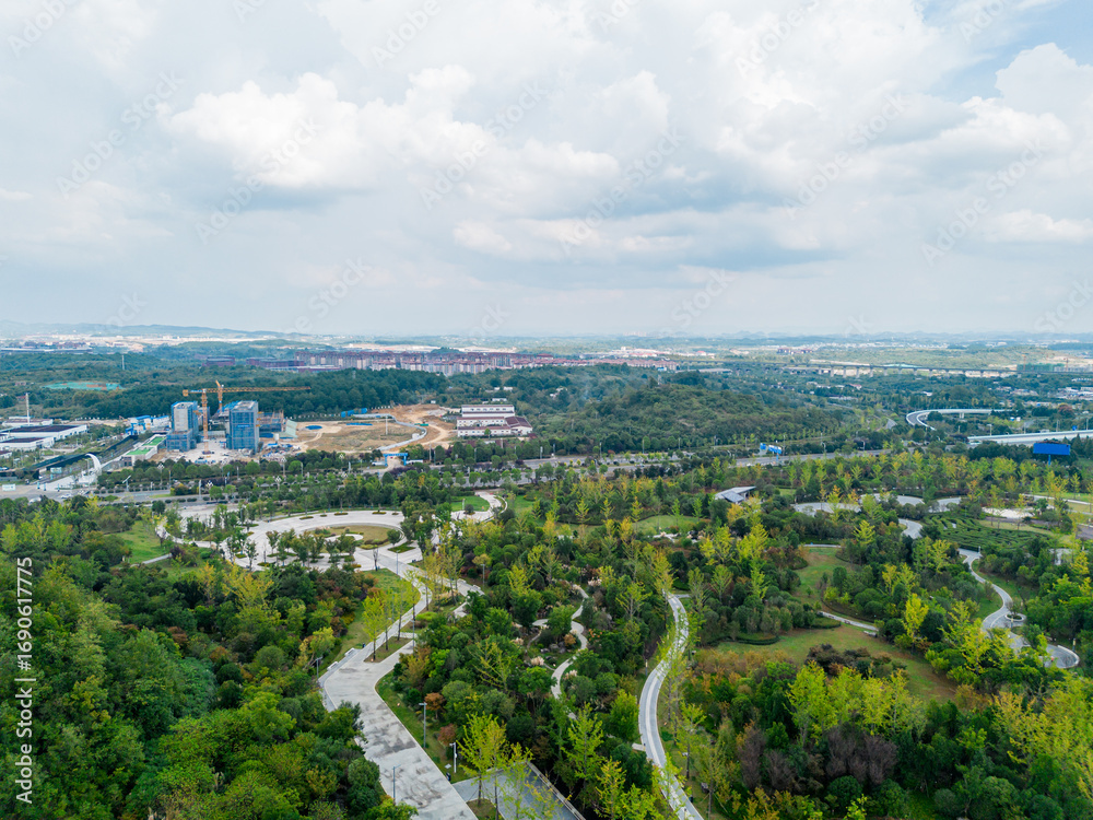 Obraz premium aerial view of paris