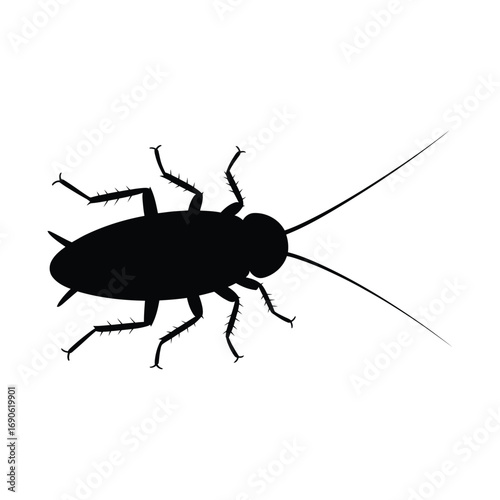Black silhouette of a cockroach on a white background