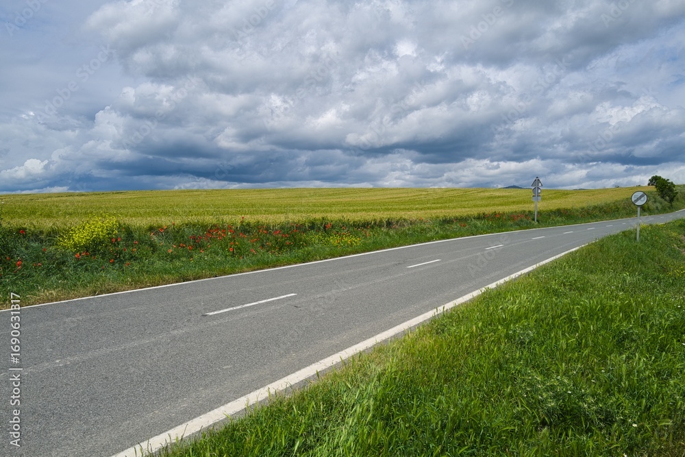 Fototapeta premium 자연 목초 경작 녹색 들판 하늘 구름 아웃도어