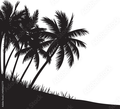 silhouette of palm trees