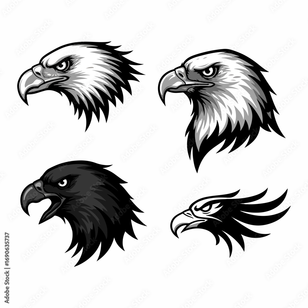 Obraz premium Bald Eagle Heads in Monochrome