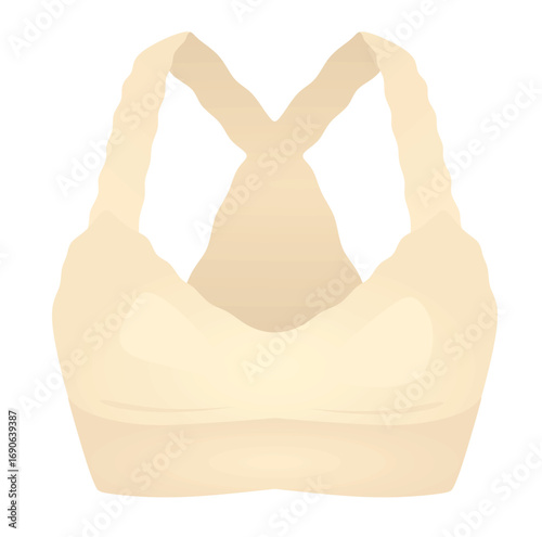 Brown woman bra. vector illustration	
