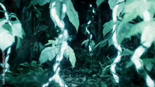 Bioluminescent Vines Pulsing in Dark Forest
