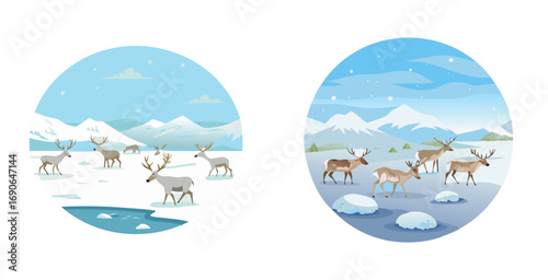 Arctic tundra reindeer habitat vector art set design illustration
