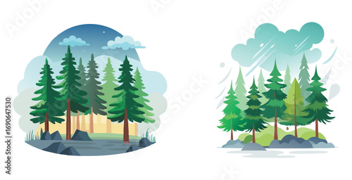Boreal forest with tall pine trees dense underground vector art set design illustration