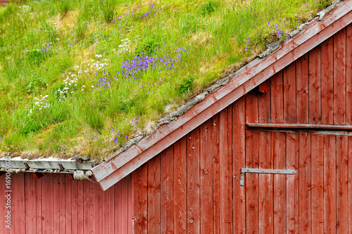 Vibrant wildflowers bloom on a grassy roof of a rustic red wooden building in a scenic rural setting, showcasing sustainable design.