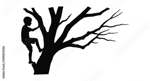 a child climbs high into an old tree silhouette