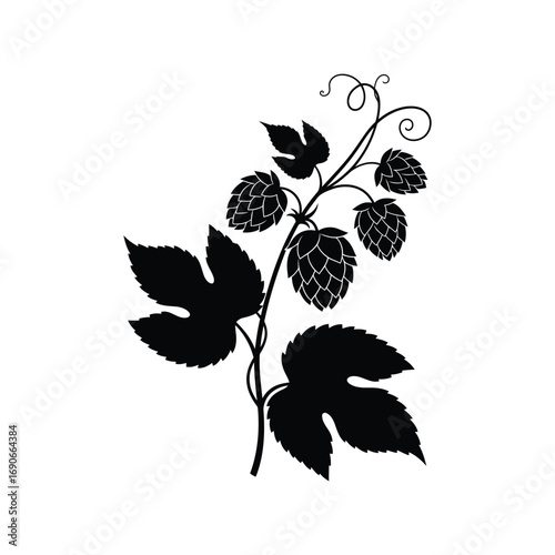 Black silhouette of hop plant branch with cones and leaves decorative element vector
