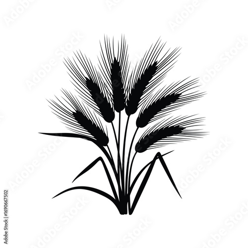 Silhouette of wheat stalks harvest agricultural crop growing grain food organic staple vector