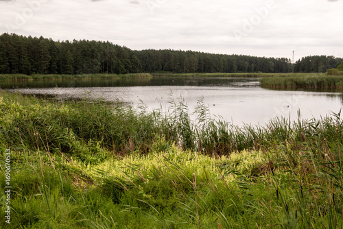 A pond in the village of Piecki. View from the educational trail. Masuria, Poland