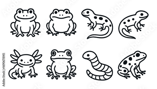 Illustration of various amphibians and reptiles: frogs, salamanders, axolotl, and worm