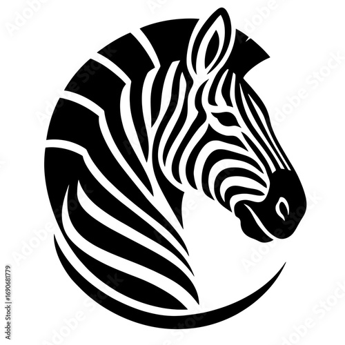 zebra vector illustration