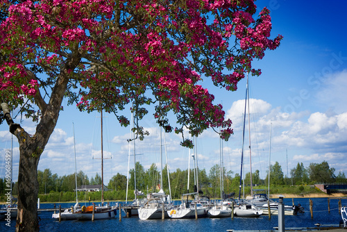 Marina in Tammisaari (Ekenä...