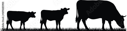 Black cow silhouette collection with calf grazing on grass, vector illustration for farm animals, agriculture, livestock, dairy, nature, and rural design.