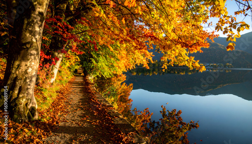 A Scenic Autumn Path By The Water