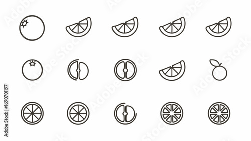 A collection of fifteen black and white line drawings of oranges and orange slices in various orientations