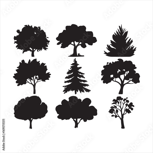 Pine tree silhouettes. Evergreen forest firs and spruces black shapes, wild nature trees templates. Vector illustration woodland trees set on white background