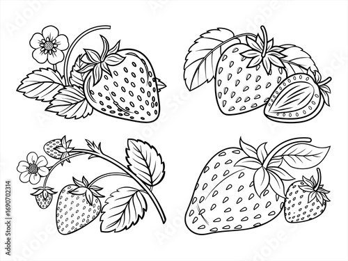 coloring page line art the strawberry black vector bundle