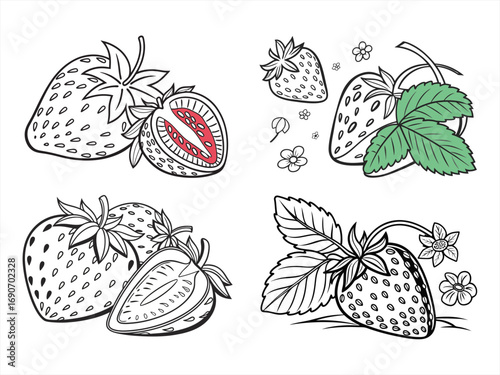coloring page line art the strawberry black vector bundle