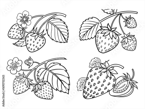 coloring page line art the strawberry black vector bundle