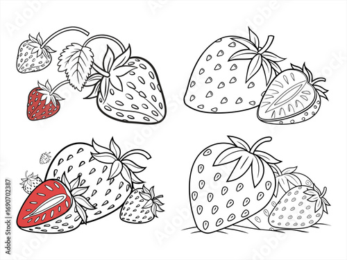 coloring page line art the strawberry black vector bundle