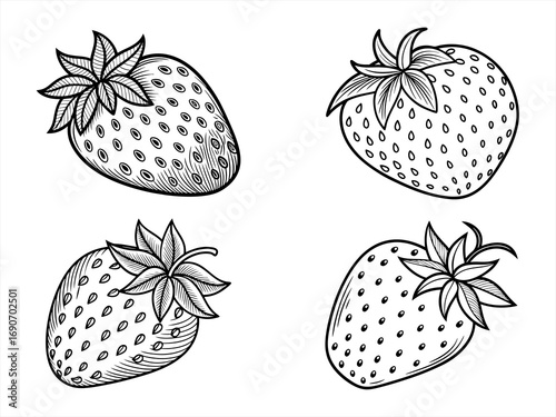coloring page line art the strawberry black vector bundle