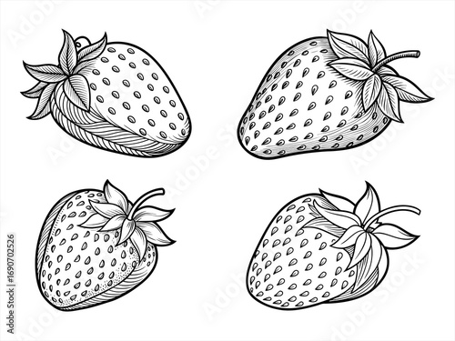 coloring page line art the strawberry black vector bundle
