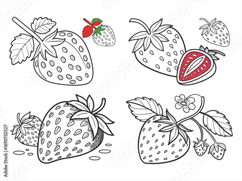 coloring page line art the strawberry black vector bundle