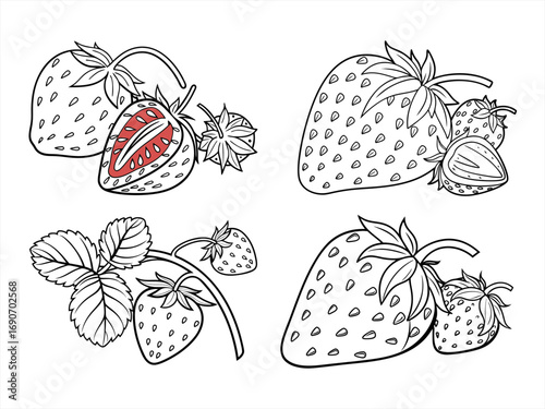 coloring page line art the strawberry black vector bundle