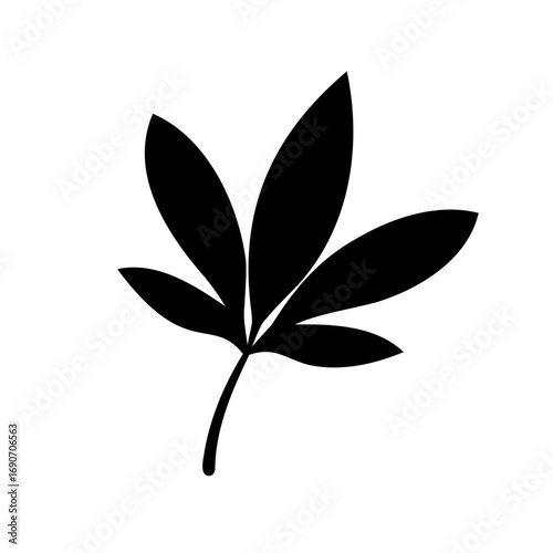 Stylized Single Leaf Vector Art with a Dark Color and Stem