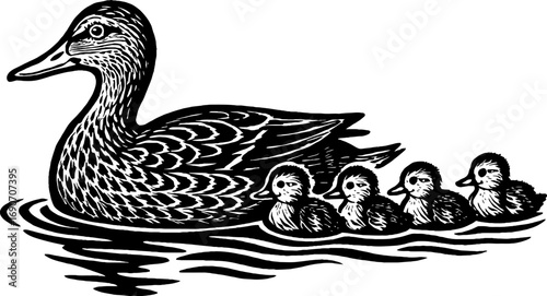 A vintage black and white line art illustration of a mother duck swimming with her ducklings in the water, showcasing a classic and simple design.