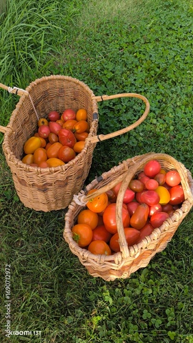 red and yellow tomatoes in baskets